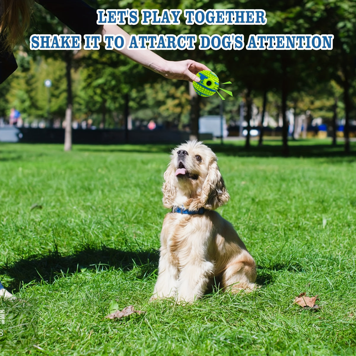 Balle d'interaction pour animaux de compagnie Jouet d'entraînement intellectuel pour chiens Attrayant pour les yeux Court