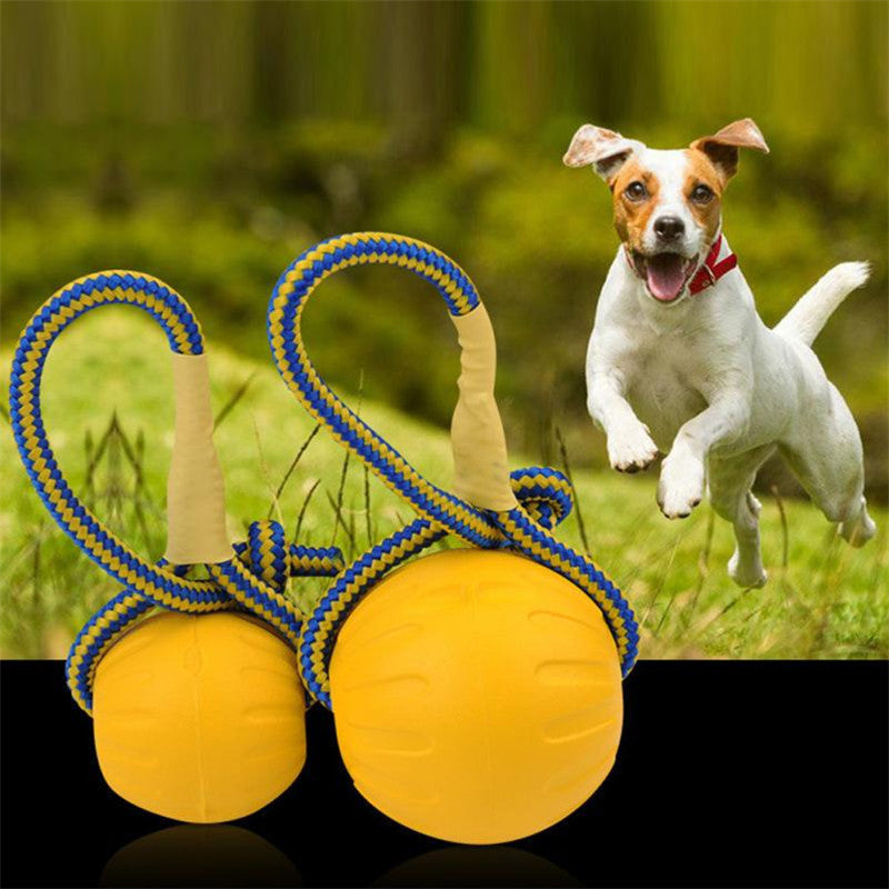 Balle d'interaction pour chien avec corde durable EVA flottante pour entraînement et jeu fourniture de jouets à mâcher pour chiens