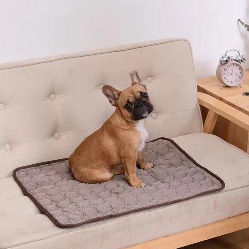 Tapis rafraîchissant pour chien d'été