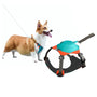 Harnais rétractable anti-traction pour chien