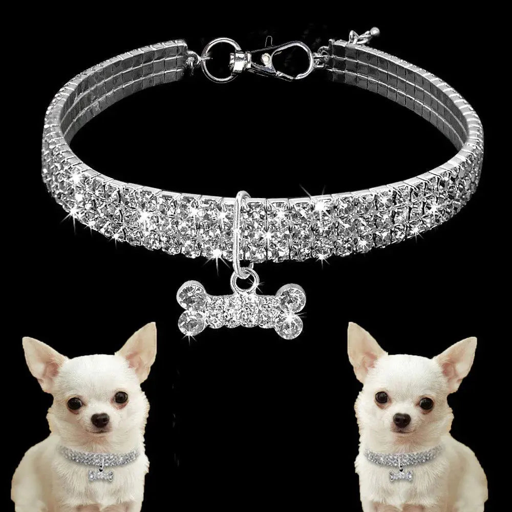 Collier pour chien avec pendentif pailleté