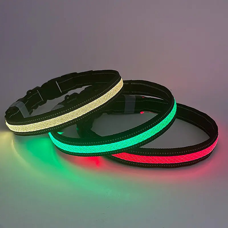 Collier lumineux LED pour chien