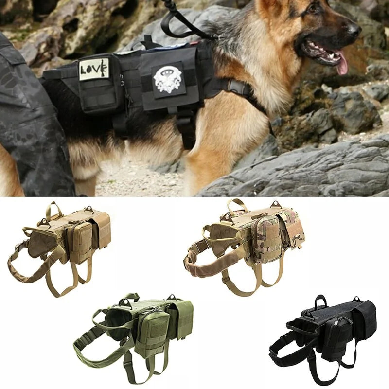 Harnais tactique militaire pour chien