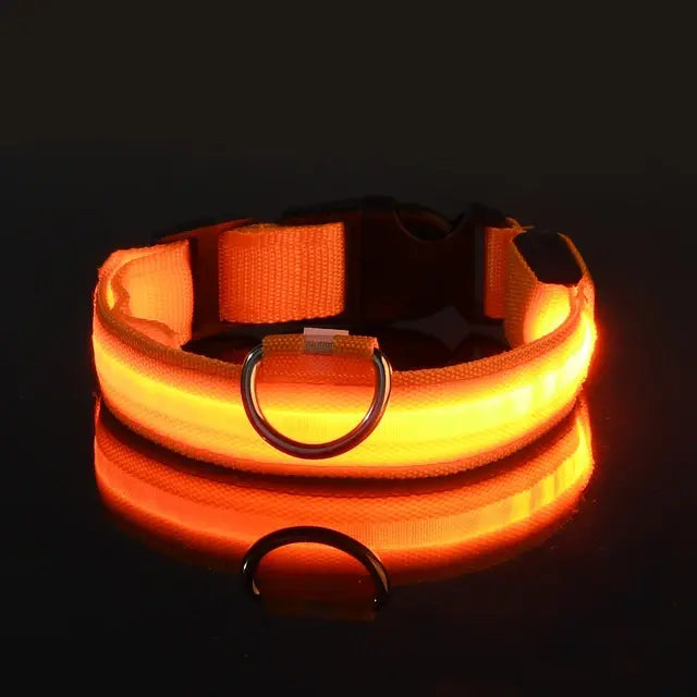 Collier pour chien avec lumière clignotante