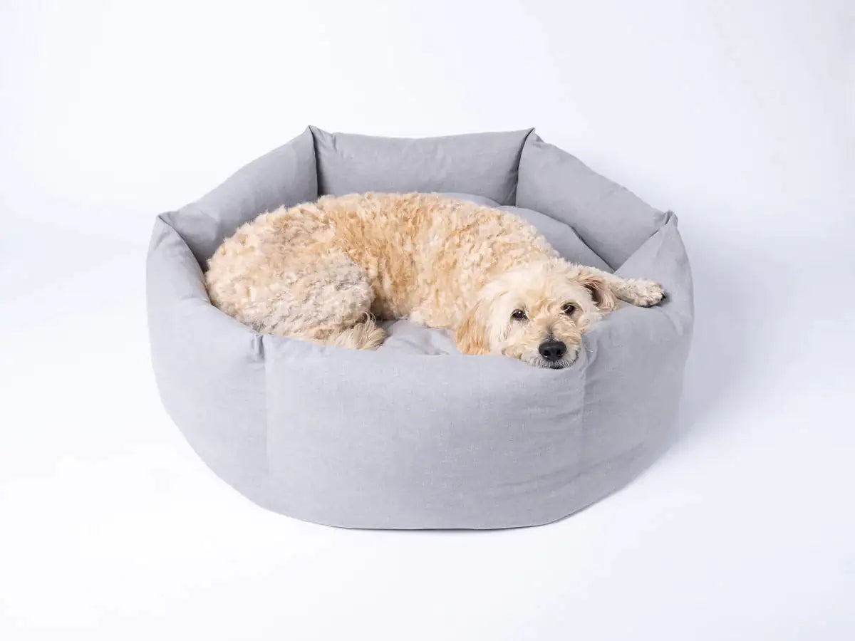 Lit apaisant pour chien Cozy Paws