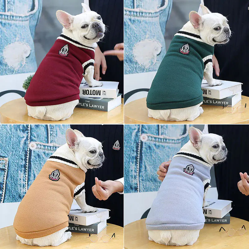 Vêtements chauds pour chien de style universitaire