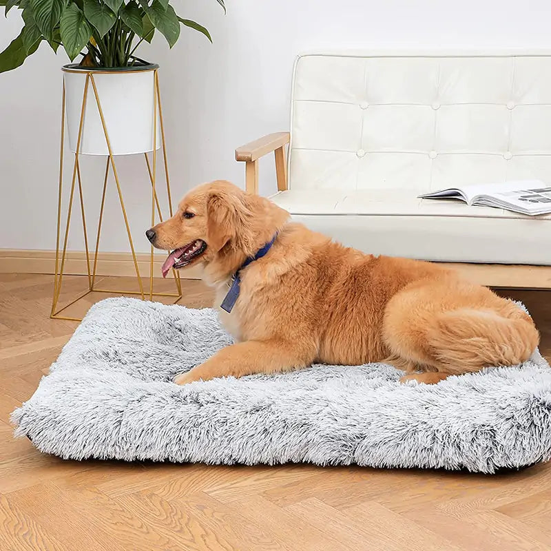 Lit lavable en peluche pour chien