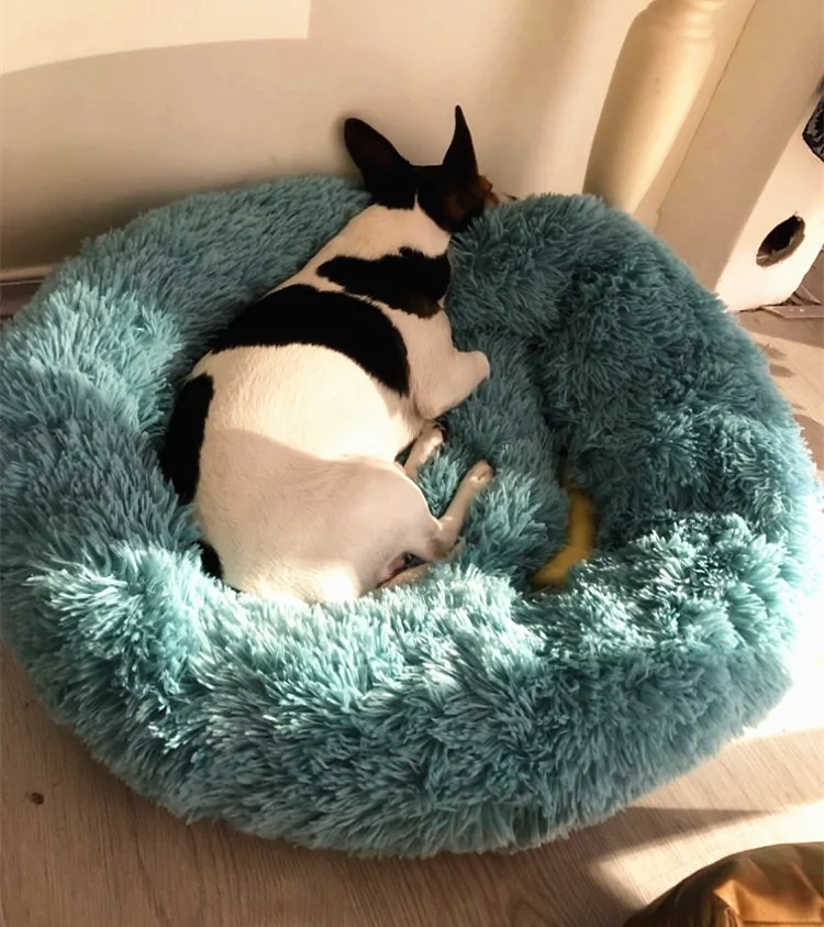 Lit rond en peluche pour chien