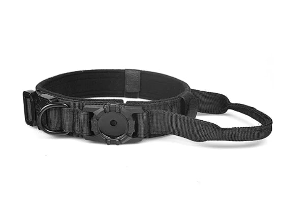 Collier pour chien avec boucle en métal