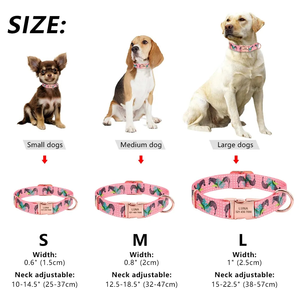 Collier pour chien avec étiquette d'identification