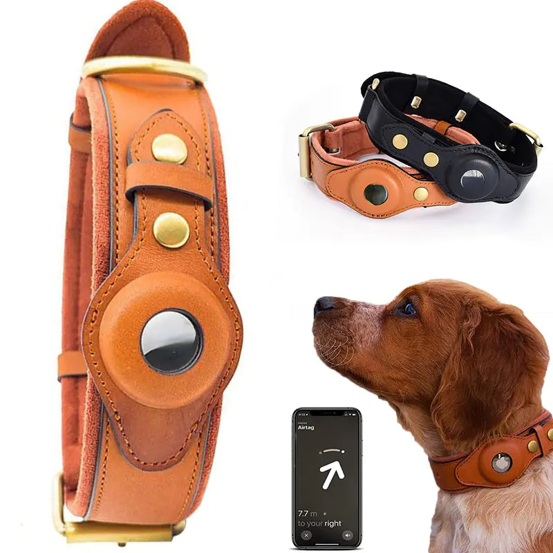 Collier anti-perte en cuir pour chien