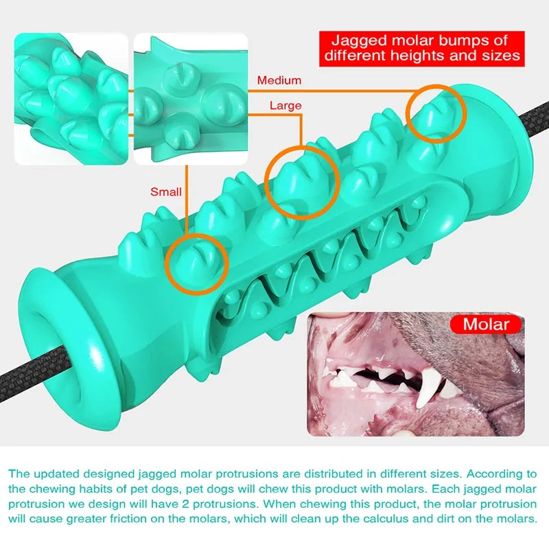 Jouet de brosse à dents à mâcher pour chien