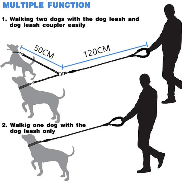 Laisse pour chien à double laisse