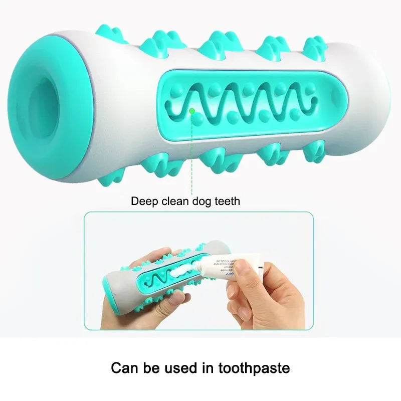 Brosse à Dents pour Chiens Jouet à Mâcher pour Nettoyage Dentaire Soins Dentaires pour Chiens Produits de Nettoyage pour Animaux Domestiques