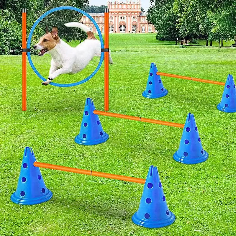 Ensemble d'entraînement en agilité pour animaux de compagnie Barre de saut Obstacle de entraînement pour chiens Appareil d'entraînement pour animaux de compagnie Fournitures pour animaux de compagnie