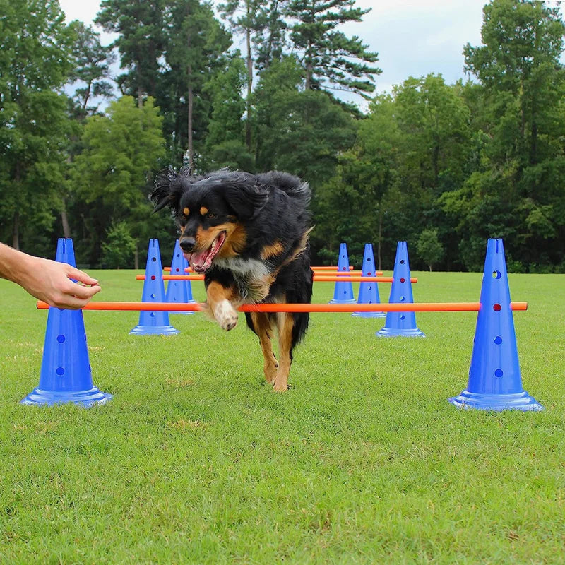 Ensemble d'entraînement en agilité pour animaux de compagnie Barre de saut Obstacle de entraînement pour chiens Appareil d'entraînement pour animaux de compagnie Fournitures pour animaux de compagnie