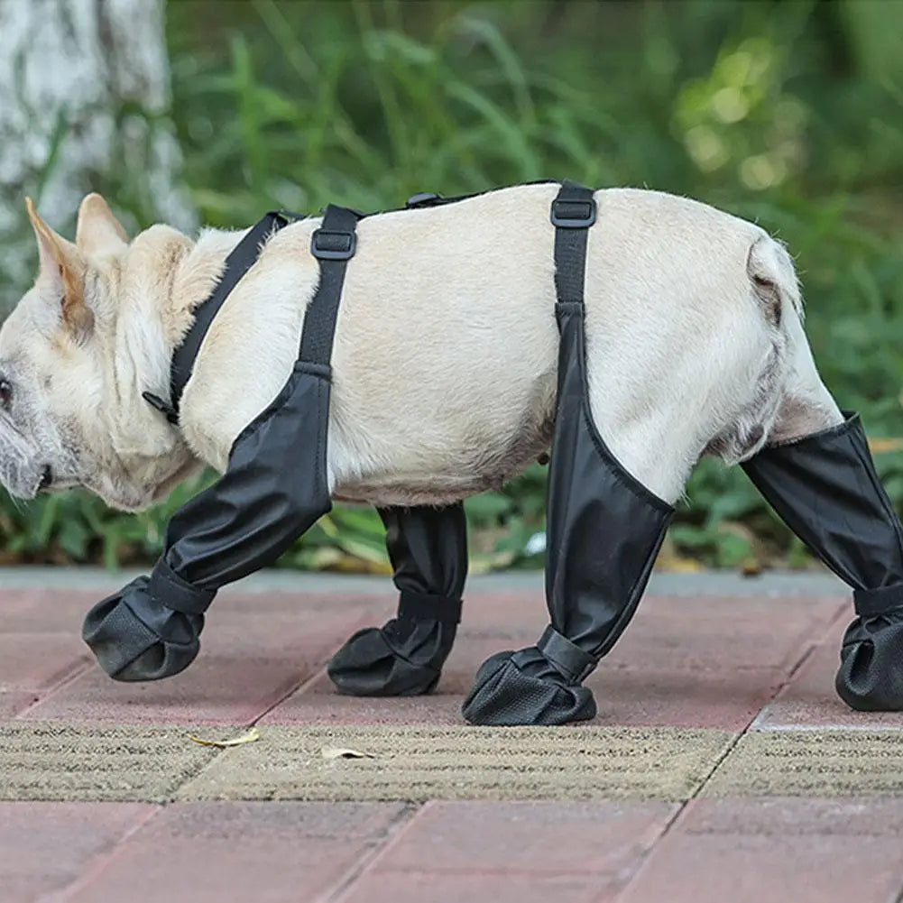 Chaussures antidérapantes pour chien