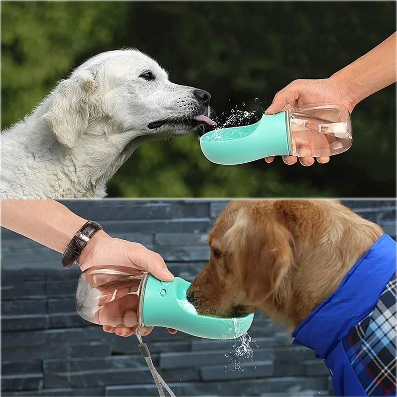 Bouteille d'eau portable pour chien