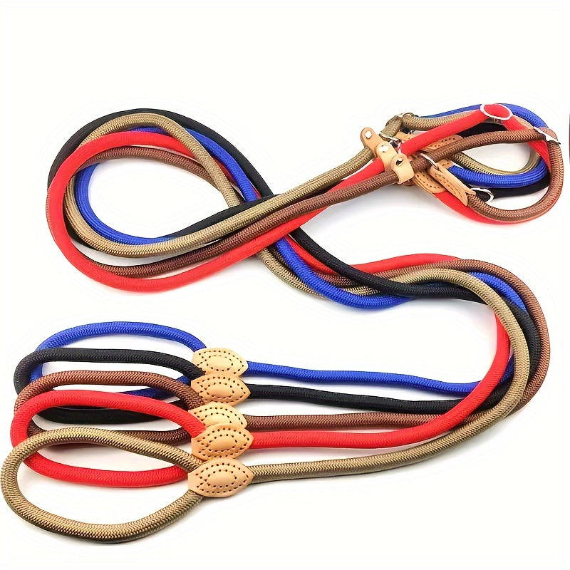 Laisse pour Chien en Nylon Durable avec Collier Glissant Parfait pour Marche pour Chiens Petits Moyens et Grands