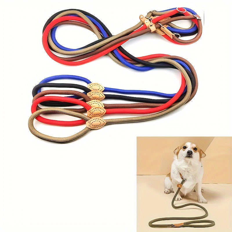 Laisse pour Chien en Nylon Durable avec Collier Glissant Parfait pour Marche pour Chiens Petits Moyens et Grands