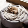 Lit apaisant pour chien Cozy Paws