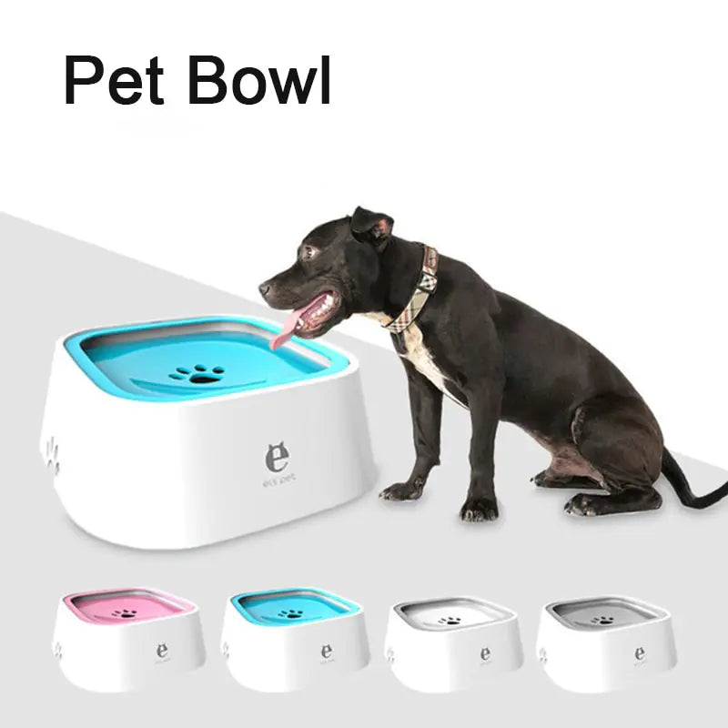 Distributeur d'eau portable pour chien