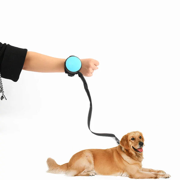 Laisse rétractable pour chien au poignet réglable