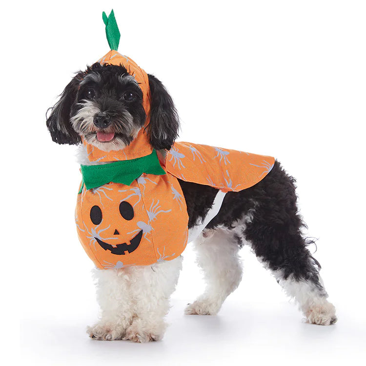 Déguisements d'Halloween pour chiens Opération réussie