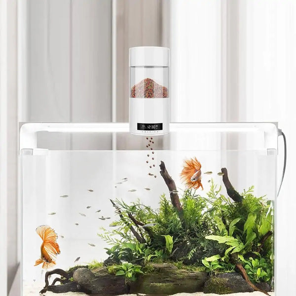 Distributeur automatique de nourriture pour poissons