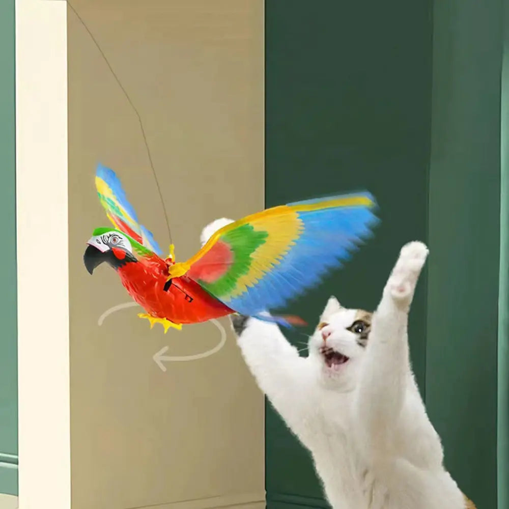 Jouet électrique interactif pour chat et oiseau