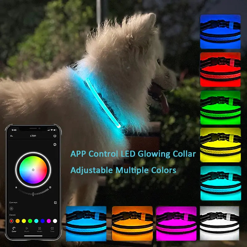 Collier lumineux LED pour chien