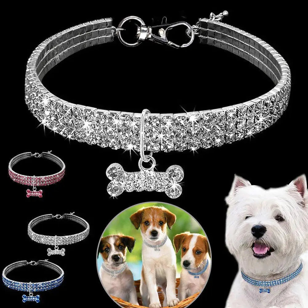 Collier pour chien avec pendentif pailleté