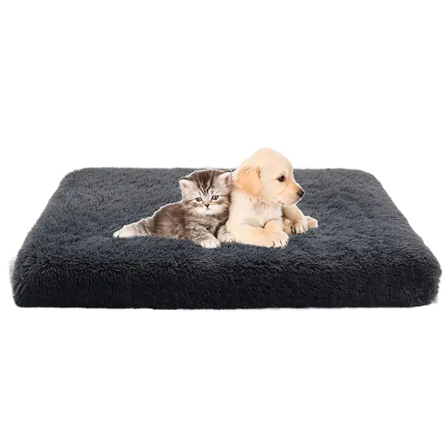 Lit lavable en peluche pour chien