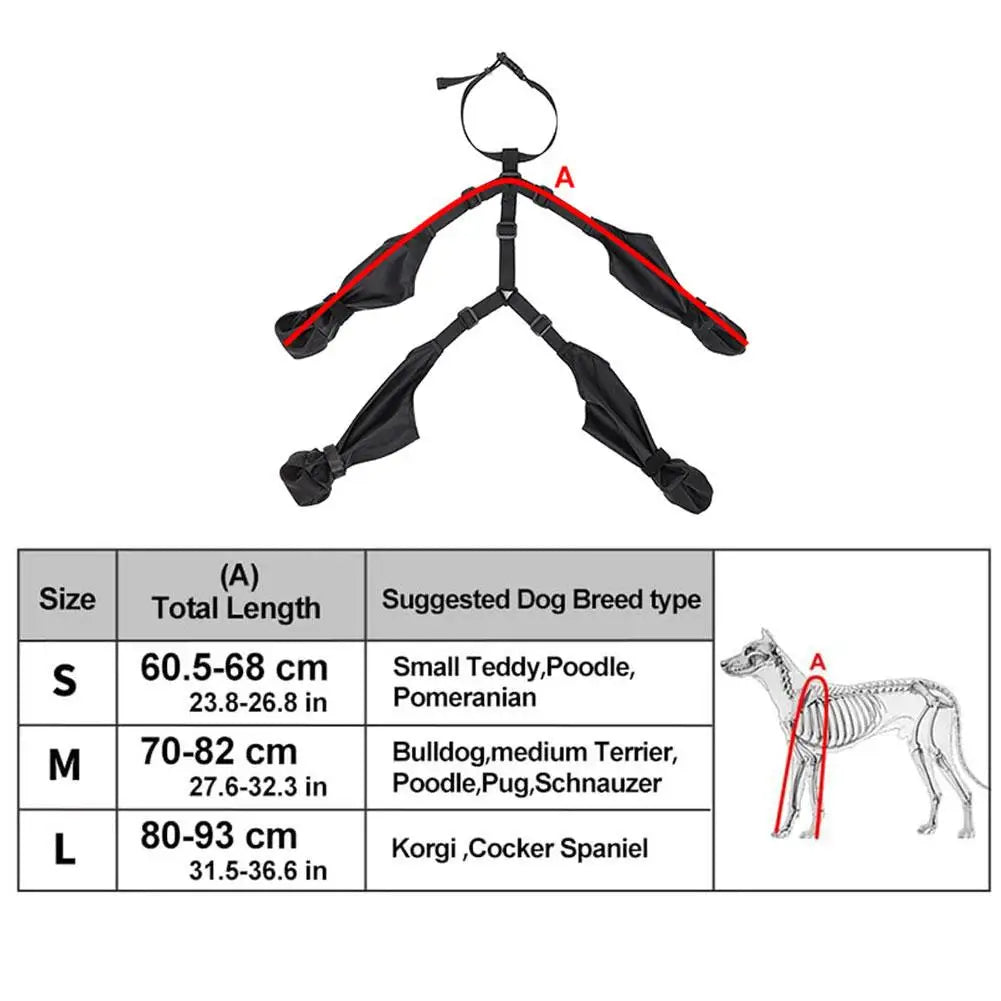 Chaussures antidérapantes pour chien