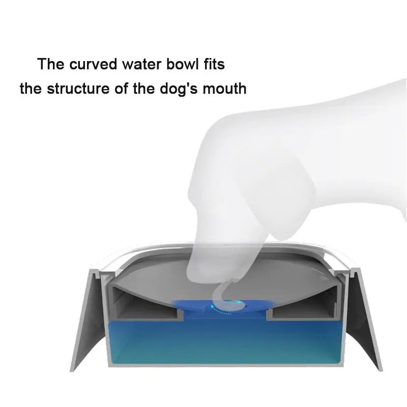 Distributeur d'eau portable pour chien