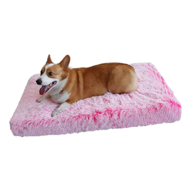 Lit lavable en peluche pour chien