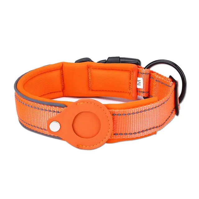 Collier Airtag pour chien