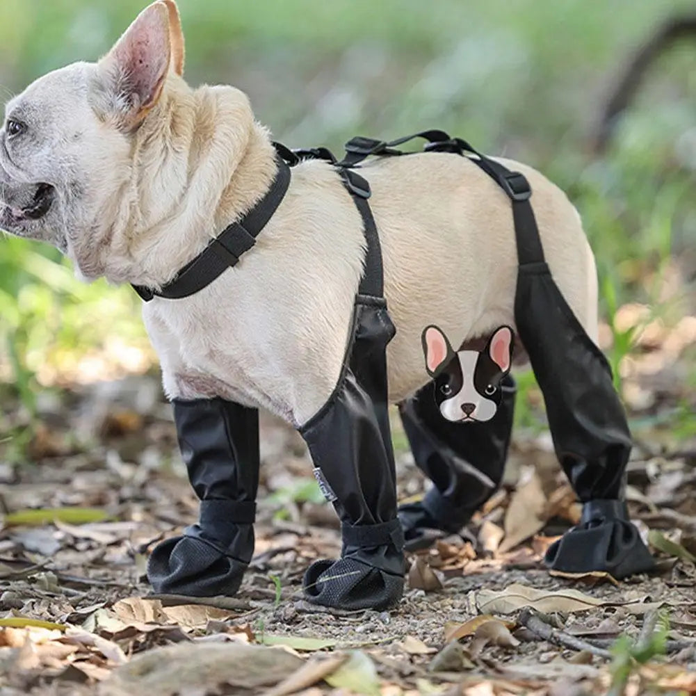 Chaussures antidérapantes pour chien