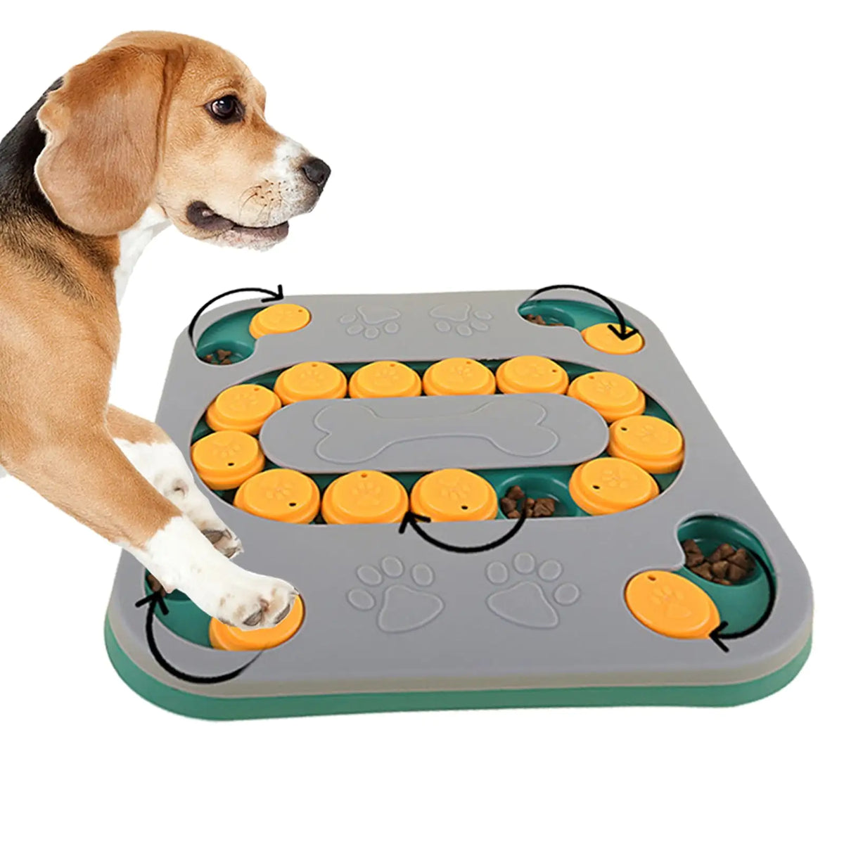 Jouets puzzle pour chien