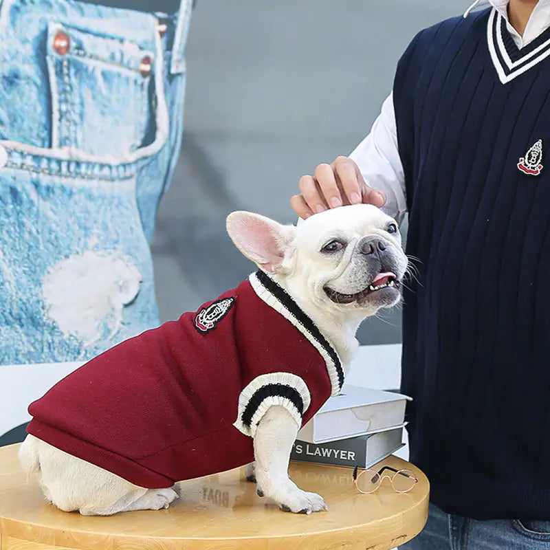 Vêtements chauds pour chien de style universitaire