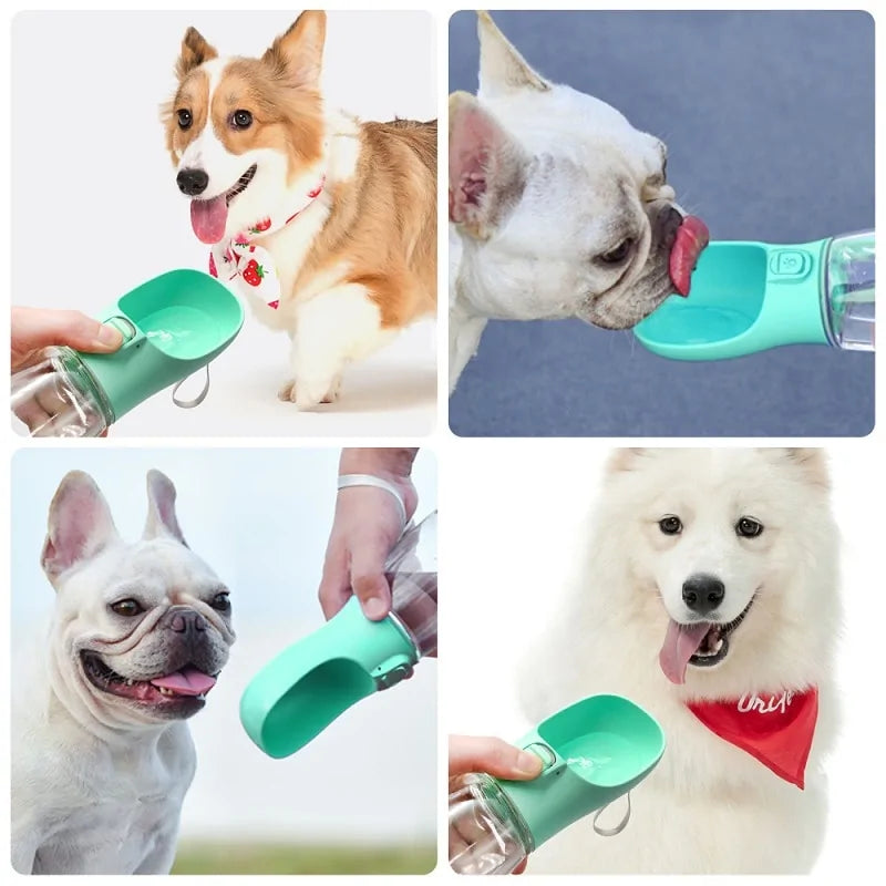 Bouteille portable pour animaux de compagnie