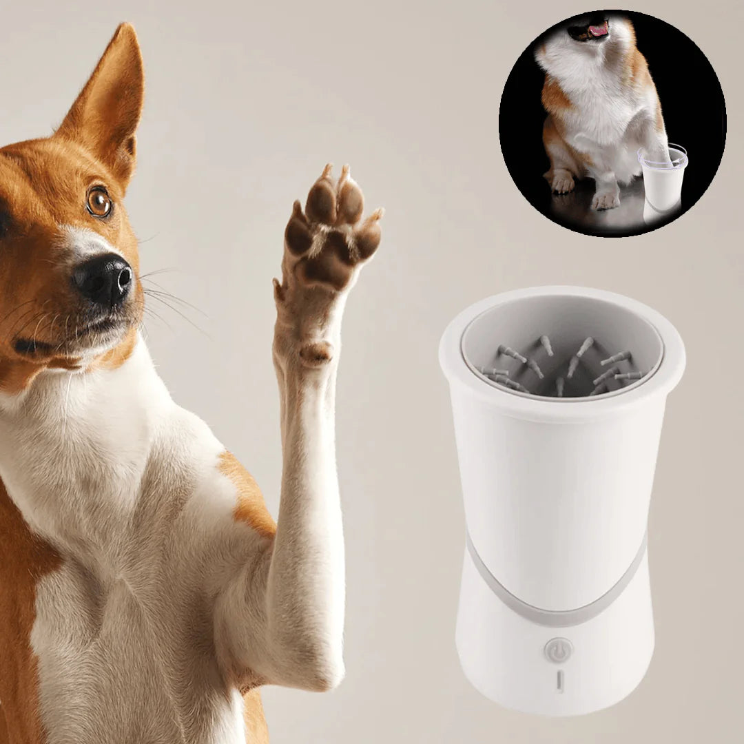 Nettoyeur automatique de pattes de chien